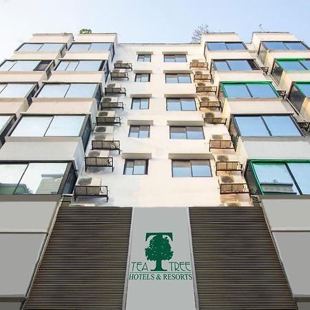 דאהקה Hotel Tea Tree & Resort מראה חיצוני תמונה